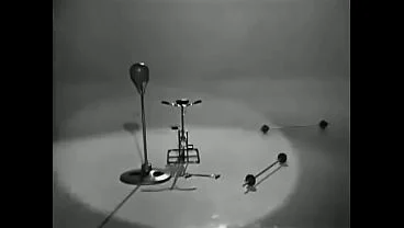 I Feel Fine (Official Video, The Beatles)