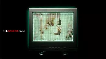 Fresh Pussy For the Freeuse House | TheIgnoring