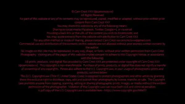 Nadie A Adores Cam Crest’s Massive Cock in Intimate POV Handjob (free)