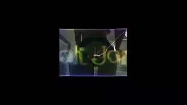 PARTE 1 – cenas quentes de uma visita de minas gerais na casa do negão de Copacabana , um cu será arrombado com gritos e gemidos ..