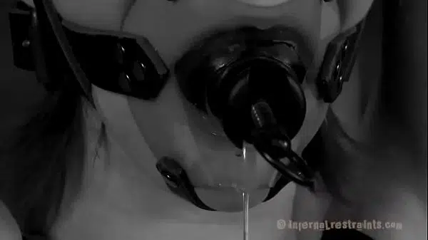 xv-4014cfc5f5588c51fde88c57dd7137c1