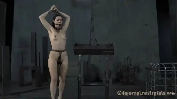 xv-4ecf12b4a1750b6ba7b0ddbcf34bc661