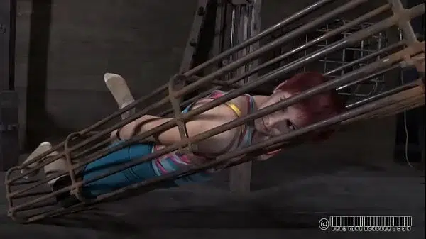 xv-7e81d8bd45d74a3d4cd2209beac1df9c