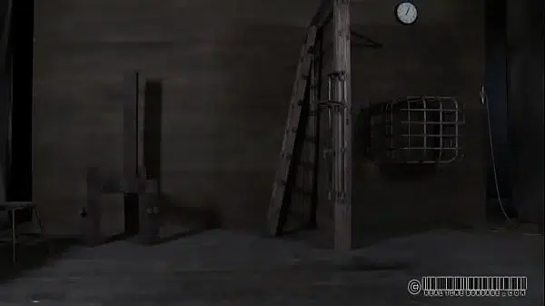 xv-8f808d051c5f987e626129d0f14562ed