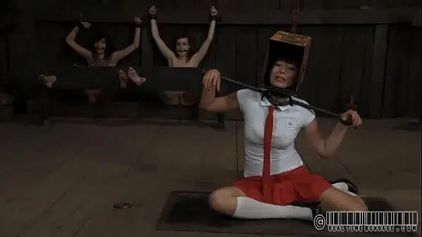 xv-ef0b3d66d384130f3b79c225e589cd79