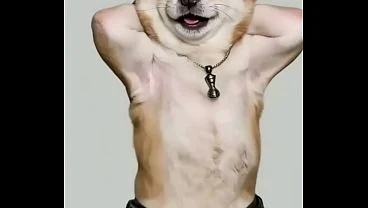 Xxx juanita baila en tanga