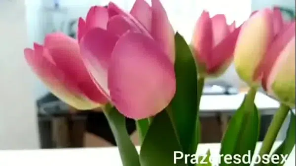 हिंदी